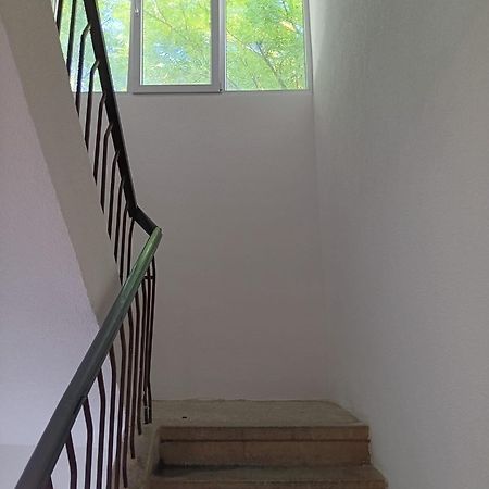 Apartman Sonja Hostel Dubrovnik Bagian luar foto